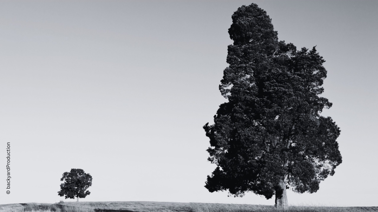 Kein Projekt zu groß, keines zu klein