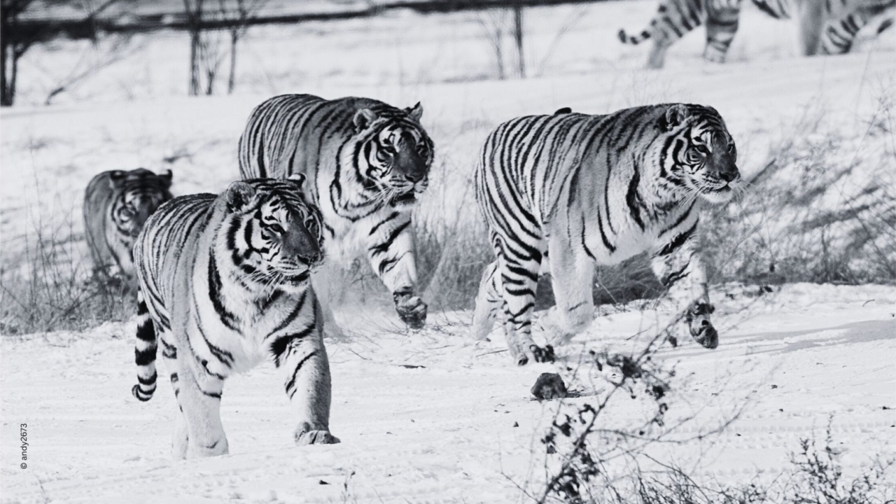 Wir brennen für Ihren Vorsprung